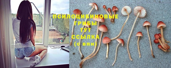 альфа пвп Нея