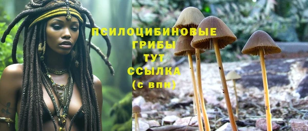 ешки Нефтекумск
