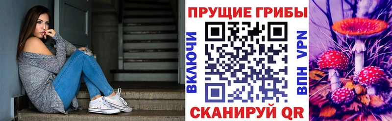купить наркотики цена  shop телеграм  Галлюциногенные грибы прущие грибы  Нижняя Салда 